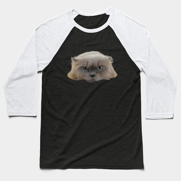 Persian cat Baseball T-Shirt by  hal mafhoum?